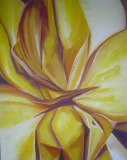 Orchidee